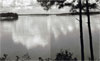 Simon Gunning and the Southern Louisiana Landscape
