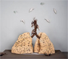 Joanne Hayakawa: A Wing and a Prayer II
