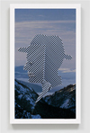 Brian Bress: Pictures Become You