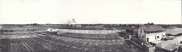 Bluher Farms, 1915
