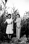 Courage and Compassion: Our Shared Story of the Japanese American World War II Experience