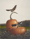 Tracing the Past: Scott and Stuart Gentling’s Birds of Texas