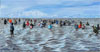 Alaska Biennial