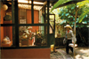 Rosalind Nashashibi: Vivian's Garden