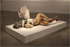 A Vulnerable and Predatory by Adam Bradley