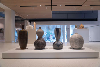 Forces of Nature: Ceramics from the Hayes Collection (installation view), Asheville Art Museum, 2024