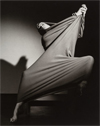 Reverberations: Exploring Movement in the Collection