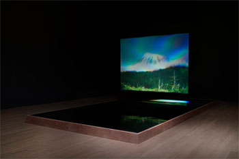 Moving Stillness: Mount Rainier 1979 (1979)