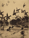 Fluid Dynamics in Art and Nature