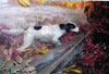 National Bird Dog Museum