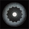 Carol Prusa: Dark Light