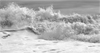 Clifford Ross: Waves
