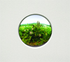 Natural Wonders: The Sublime in Contemporary Art
