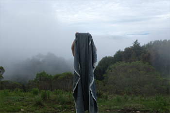 Antenna, 2017
