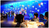 A Time When Art Is Everywhere – teamLab