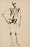 Betray the Secret: Humanity in the Age of "Frankenstein"