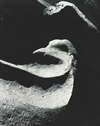 Minor White, Unburdened: Photographs from the Collection of Lindsay W. Marshall