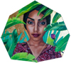 Sara Golish | Birds of Paradise