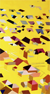 Elizabeth Bradford | Time + Terrain