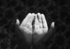 Easton Selby | RootWork