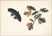 Lecture About Collection of 19th-Century Paintings and Drawings by Emily Esdaile Weston