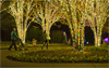 Estates of Elegance: Bryant Fleming and the American _ Era