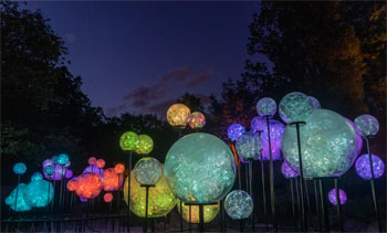 Forest of Light, Cheekwood, 1992