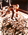 Vik Muniz: Photography and the Rebirth of Wonder