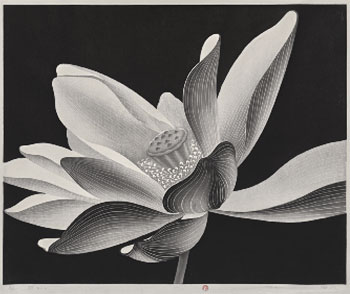 Lotus No. 12, 1995
