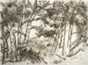 Cai Guo-Qiang: Cuyahoga River Lightning
