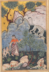 Animal Fables of Mughal India