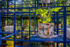 The Bruising: For Jules, The Bird, Jack and Leni by Rashid Johnson