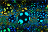 Infinity Mirrored Room— My Heart is Dancing into the Universe by Yayoi Kusama