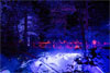 North Forest Lights