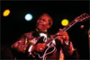 I Have a Voice: Traveling Exhibition from Tennessee State Museum