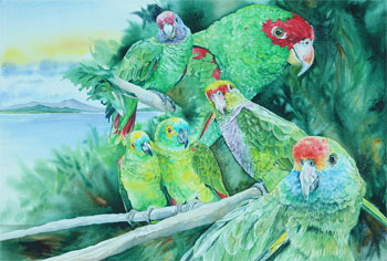 Exhibition:  Kitty Harvill: New to the Collection