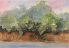 The Recent Works of Leah Foote