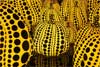 Yayoi Kusama: All the Eternal Love I Have for the Pumpkins