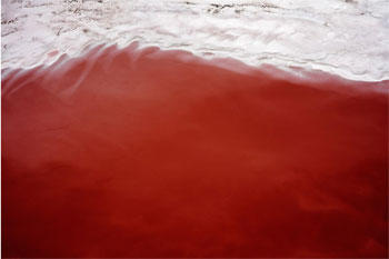 Thirst: Great Salt Lake, November 2022