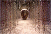 Rebecca Louise Law: The Womb