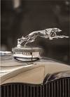 Cast in Chrome: The Art of Hood Ornament