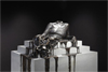 Do Ho Suh: Specimens