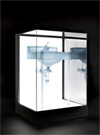 Do Ho Suh: Specimens