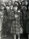 Dorothea Lange: Politics of Seeing