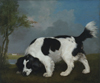 A Sporting Vision: The Paul Mellon Collection of British Sporting Art from the Virginia Museum of Fine Arts