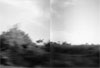 Of what surrounds me: Amanda Bradley, Cristina Lei Rodriguez, and Mette Tommeru