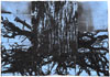Robert Andy Coombs: Notions of Care