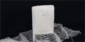 Artist Talk: Lisa Haque