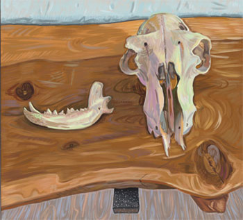 O’Keeffe’s Skulls, 2019-2020