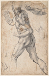 Michelangelo: Mind of the Master